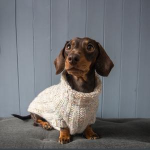 Personnalisé Nouveau Designer Chaud Chien Vêtements Vêtements Vêtements Pull Pull Gilet Costume pour <span class=keywords><strong>Teckel</strong></span> Corgi - Product Image 2