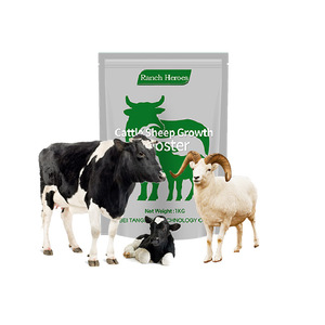 Phụ gia thức ăn năng lượng cao cho bò thịt cừu vỗ béo tăng cân nhanh chóng và cải thiện hiệu quả thức ăn - Product Image 3
