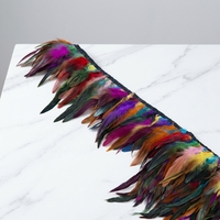Plumes de Coq Schlappen Teintes en Gros, Franges de Plumes de Coq, Garniture de Plumes de Gallo pour Costumes, Vêtements, Carnaval, Décoration de Poulets