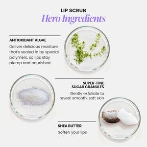 Bâton exfoliant pour les lèvres au sucre, traitement exfoliant pour les lèvres, lisse les peaux mortes, hydratant, soin des lèvres en marque privée - Product Image 4