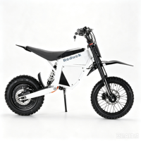 Scooter électrique tout-terrain Lynx à deux roues, moteur 1500W, suspension intégrale, batterie lithium étanche, autonomie 40-60 km, vitesse maximale 25 km/h