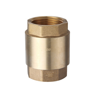 Guangdong Magnesium Special Brass Check Valve Straight-through Single-lobed Structure Water Pipe One-way Valve - Product Image 4
