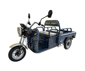 Venta al por mayor de fábrica: Vehículo de tres ruedas de tipo abierto para uso doméstico con capacidad de carga de 200-300 kg, autonomía de 50-70 km y velocidad de 30-50 km/h - Product Image 2