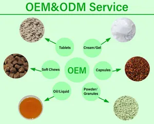 OEM 애완 동물 근육 빌더 정제 에너지 보충제 개 쇠고기 맛 근육 증가 정제 성장 면역 지원 촉진