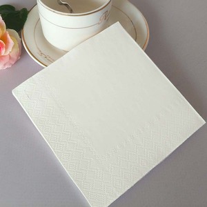 Servilletas Desechables Suaves de 2 Capas, 250 mm, Plegables, de Pulpa de Madera Virgen, en Bolsa, Personalizables para Cena, Cóctel, Almuerzo - Product Image 4