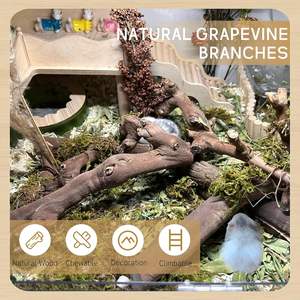 Holz-Kletterzweige für Hamster, Natürliche Holzspielzeuge zum Klettern und Kauen für Syrische Hamster, Übungsspielzeug für Ratten - Product Image 4