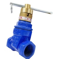 Vanne à opercule en fonte ductile avec verrouillage magnétique et joint souple fileté CZ15X-16Q NRS 2Cr13 SS Stem DN15-DN65 pour la protection des compteurs d'eau