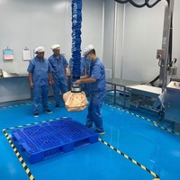 Lève-sacs industriel à tube sous vide 60 kg pour la manutention de sacs chimiques, levage de sacs tissés, anti-poussière