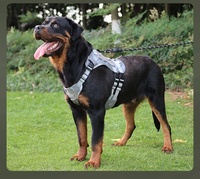 Nouveau Harnais Tactique Multifonctionnel pour Chien, Type Gilet, avec Laisse, pour Grands Chiens, Traction Extérieure Sécurisée, Fermeture Rapide, Modèle