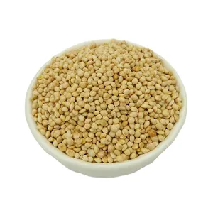 Bulk SHUZI Foxtail Millet White Millet Seed