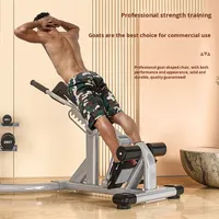 Chaise romaine multifonctionnelle professionnelle, équipement de gym pliable pour la maison, pour l'entraînement du tronc, du bas du dos et des abdominaux