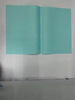 Papelería de Oficina de Buena Calidad, 22 x 31 cm, 250 Piezas, Carpetas de Papel de Colores Variados
