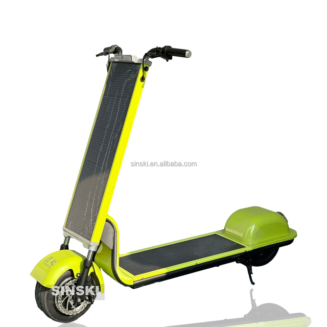 48V 1000W Fat Tire Electric Bicycle for Adults Off Road Long Range Mountain E Bike