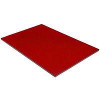 Tapis enroulable Portable tapis de piste de danse tapis de Surface utilisé Cheerleading école déploiement arts martiaux XPE tapis en mousse