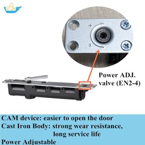 Điện Có Thể Điều Chỉnh Giữ-Mở Cam Đúc Sắt Che Giấu Và Tiếp Xúc Với Đường Sắt Trượt Cài Đặt Cửa Gần Hơn - Product Image 2