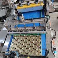 Nieuwe Hele Fabriek Transportband Lijn Voor Gekookte Voedselverwerking En Gestoofde Vlees Sterilisatie Verpakkingsapparatuur Voor Vleesproducten