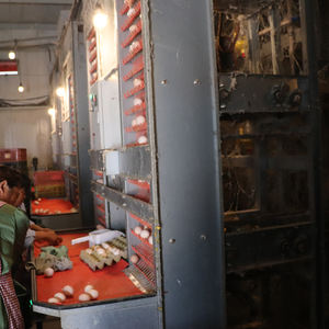 Otomatik besleme içme yumurta toplama gübresi temizleme sistemi ile tam otomatik H tipi yükselterek katmanlı pil tavuk kafesi - Product Image 1