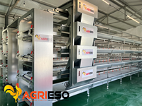 Système de cages automatiques en H pour poulets pondeurs, équipement d'élevage avicole pour fermes commerciales