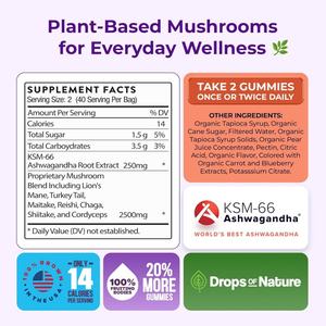 OEM/ODM Marca patentada Ashwagandha Gummies y Lions Mane Super Mushroom Gummies Suplemento, Premium Mushroom Blend - Product Image 3