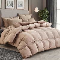 Couette Premium King Size Luxueuse Toutes Saisons Insert de Couette en Tissu Mélangé de Coton Design Boîte à Bavettes 3D Remplissage sous Vide Couette en Duvet