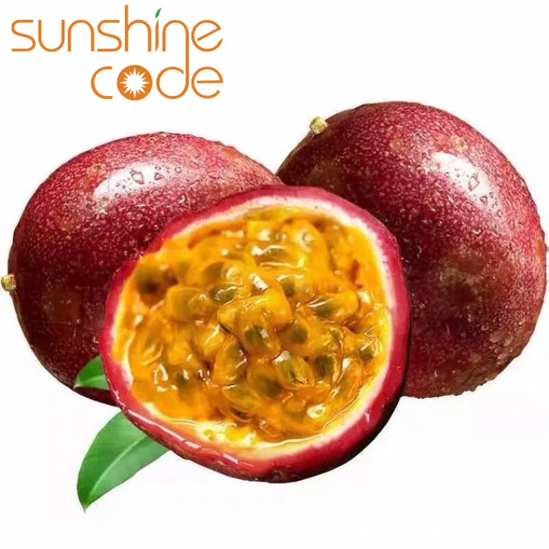 Sunshine Code fruit de la passion frais de haute qualité fruit de la passion violet importation m1l fruit de la passion pk