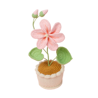 2026 Hochwertige Ornamente Handgemachte Häkel arbeit Tung Öl Blume Topfpflanze Kreative Home Desktop Dekoration Ewige Blume