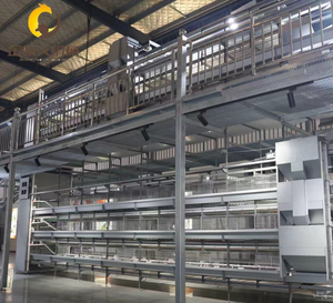 Jaula para Gallinas <span class=keywords><strong>de</strong></span> 3 y 4 Niveles, Jaulas para Pollos Tipo H Galvanizadas en Oferta, Jaula para Gallos Totalmente Automatizada, Equipo para Granjas Avícolas - Product Image 3