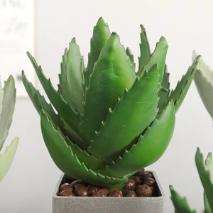 Plantas Artificiales Realistas de <span class=keywords><strong>Aloe</strong></span> <span class=keywords><strong>Vera</strong></span> en Macetas de Cemento, Pequeñas Suculentas Artificiales para Decoración de Hogar, Oficina, Escritorio, Estante, Bonsái Minimalista - Product Image 5