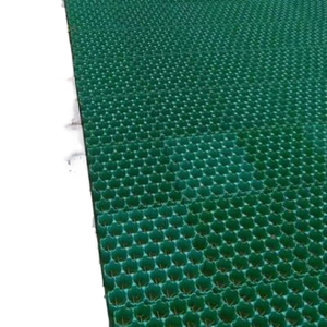 Grille de protection en plastique HDPE <span class=keywords><strong>pour</strong></span> allées, aménagements paysagers, pelouses et plantation d'herbe - Product Image 1