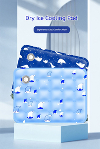 <span class=keywords><strong>2026</strong></span> Zomer Hot Selling Polymer Zachte IJs Gel Snelle Warmteafvoer Waterdicht en Gemakkelijk te Reinigen Huisdier IJsmat - Product Image 2
