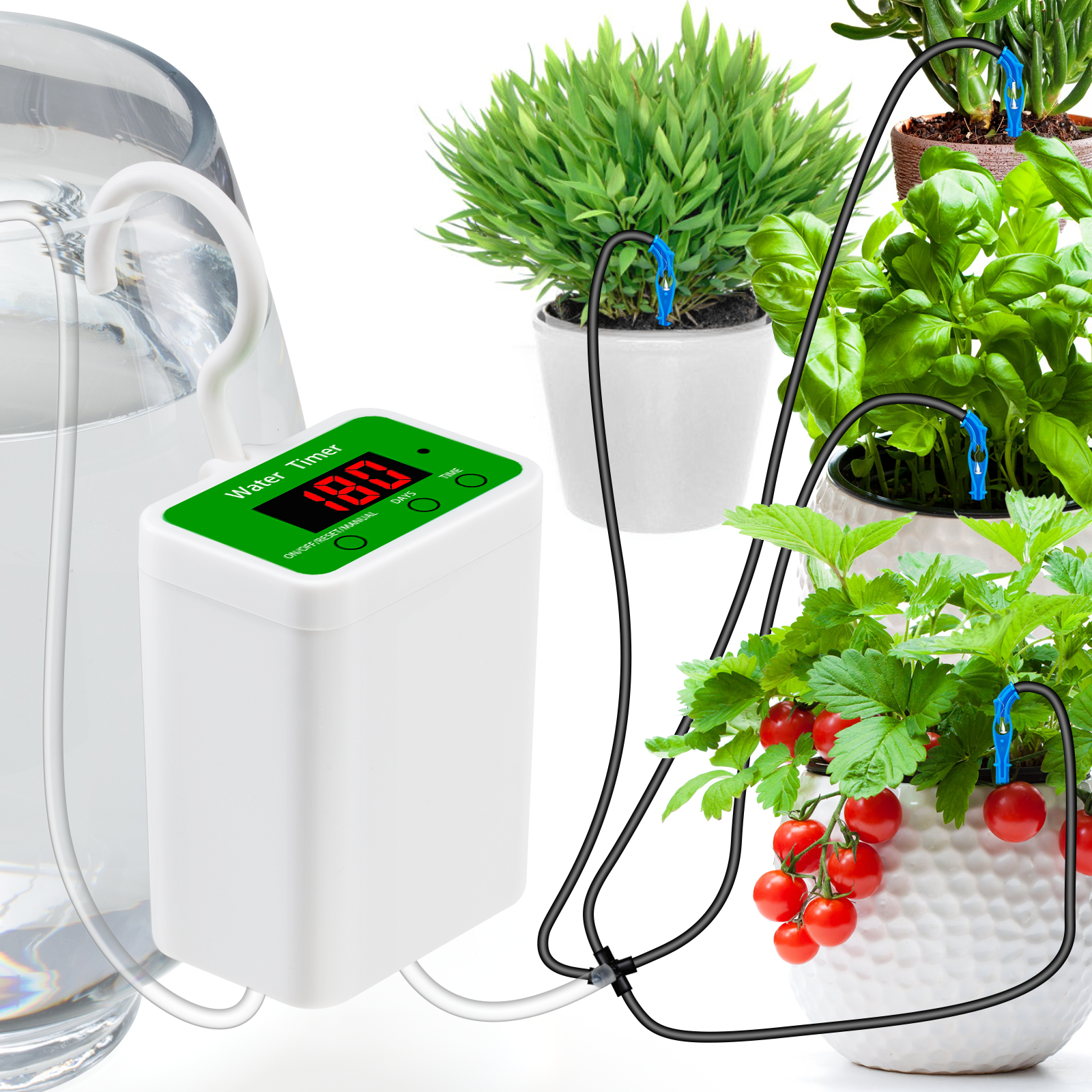 Green watering 4 pots of plants