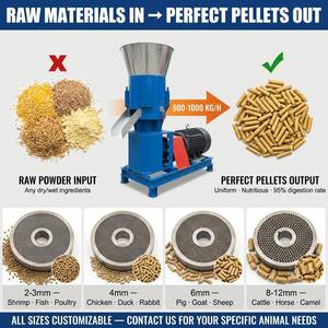 Máquina Compacta para Producción de Pienso en Pellets para Aves de Corral y Ganado, 200-400 kg/h, <span class=keywords><strong>Jordan</strong></span>, con Manual de Operación en Video y 1 Año de Garantía - Product Image 5