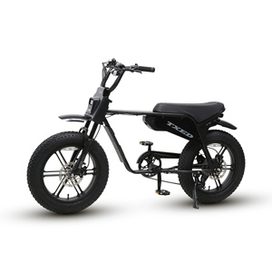 Potente Motor sin Escobillas de 750W para Motocicleta, Batería de 48V 13Ah, Neumáticos Anchos, Frenos de Disco Hidráulicos de Alto Rendimiento que Garantizan una Detención Confiable - Product Image 5
