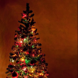 Đa gốm C9 bóng đèn Glass Look LED giáng sinh Lights Set 25 LED 16ft chuỗi ánh sáng - Product Image 5