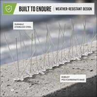Dispositif de dissuasion anti-oiseaux en gros, écologique, en acier inoxydable, à pointes, anti-pigeons