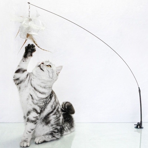 Nouveauté 2026 : Jouet interactif pour chat à ventouse avec tête en plumes, stimulant l'instinct de chasse naturel du chat, pour l'interaction et la stimulation du mouvement des animaux de compagnie - Product Image 1