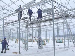 Invernadero de Vidrio Holandés Venlo de Gran Tamaño y Múltiples Tramos para Cultivo de Tomate y Fresa, Proyecto Llave en Mano de Bajo Costo - Product Image 5