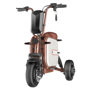 Scooter de movilidad de bicicleta eléctrica de <span class=keywords><strong>3</strong></span> ruedas para adultos 2023 48V con cesta para mascotas y motores sin escobillas de 500W/1000W - Product Image 1