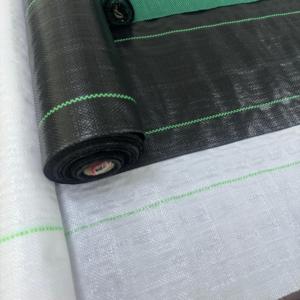 Toile de paillage anti-mauvaises herbes 100 g/m² pour fraises, géotextile en PP tissé, vente directe usine - Product Image 3