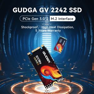 SSDメーカーのM.<span class=keywords><strong>2</strong></span> NVME 2242mm PCIe 256GB - Product Image 1