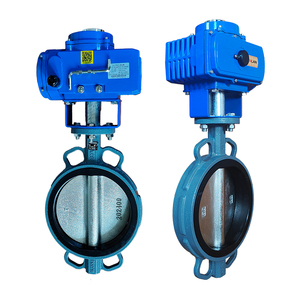 Válvula de Mariposa Eléctrica de Doble Brida de Hierro Dúctil de Alto Rendimiento con Control Automático/Manual para Agua DN50-DN750 Personalizada Azul - Product Image 2