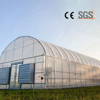 Serre tunnel agricole économique à simple travée, grande taille, en plastique, pour légumes