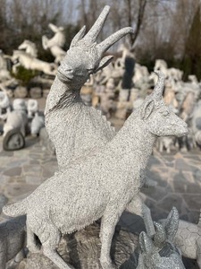 <span class=keywords><strong>Statue</strong></span> di Capre in Granito Grigio per Decorazioni da <span class=keywords><strong>Giardino</strong></span> <span class=keywords><strong>Moderne</strong></span> per Uso Esterno - Product Image 3