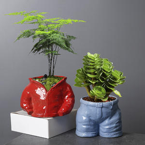 <span class=keywords><strong>Pot</strong></span> <span class=keywords><strong>de</strong></span> fleurs européen simple et créatif en céramique pour <span class=keywords><strong>Amazon</strong></span> Plant Asparagus Décoration intérieure moderne avec caractéristiques charnues - Product Image 1