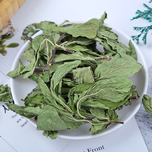 Newly Harvested Natural Mint Leaves <strong>Tea</strong> Dried <strong>Peppermint</strong> Leaf Herbal <strong>Tea</strong> Chinese Pure <strong>Peppermint</strong> <strong>Tea</strong> Bags for Healthy <strong>Drinking</strong> - Product Image 1