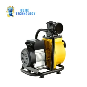 OJ Tech DC Solar Vacuum Priming Pump 2-3 Inch 36V-144V 850W 1hp Large Flow Solar Surface Pump Solar Irrigation Pump