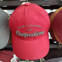 Gorra de Béisbol OEM para Niños, Ajustable, para Mujer, Verano, con Logotipo Personalizado, Color Azul Bebé, Gorras de Béisbol para Hombre