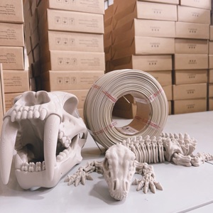 Filamento PETG Básico Color Hueso 1KG para Impresora <span class=keywords><strong>3D</strong></span>, OEM ODM, Material <span class=keywords><strong>de</strong></span> Impresión <span class=keywords><strong>3D</strong></span> PETG - Product Image 2