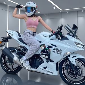 Motocicleta Usada Yamaha 250 <span class=keywords><strong>de</strong></span> Dos Cilindros, Deportiva, R3V6 Kawasaki Little Ninja 400, H2 Python N19 Street - Product Image 2