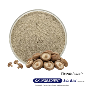 Mezcla de Hongos en Polvo de Primera Calidad, Halal, OEM, B2B, Mejor Proveedor Garantizado, Superventas, Suplemento Superalimento para el Apoyo Inmunológico - Product Image 5